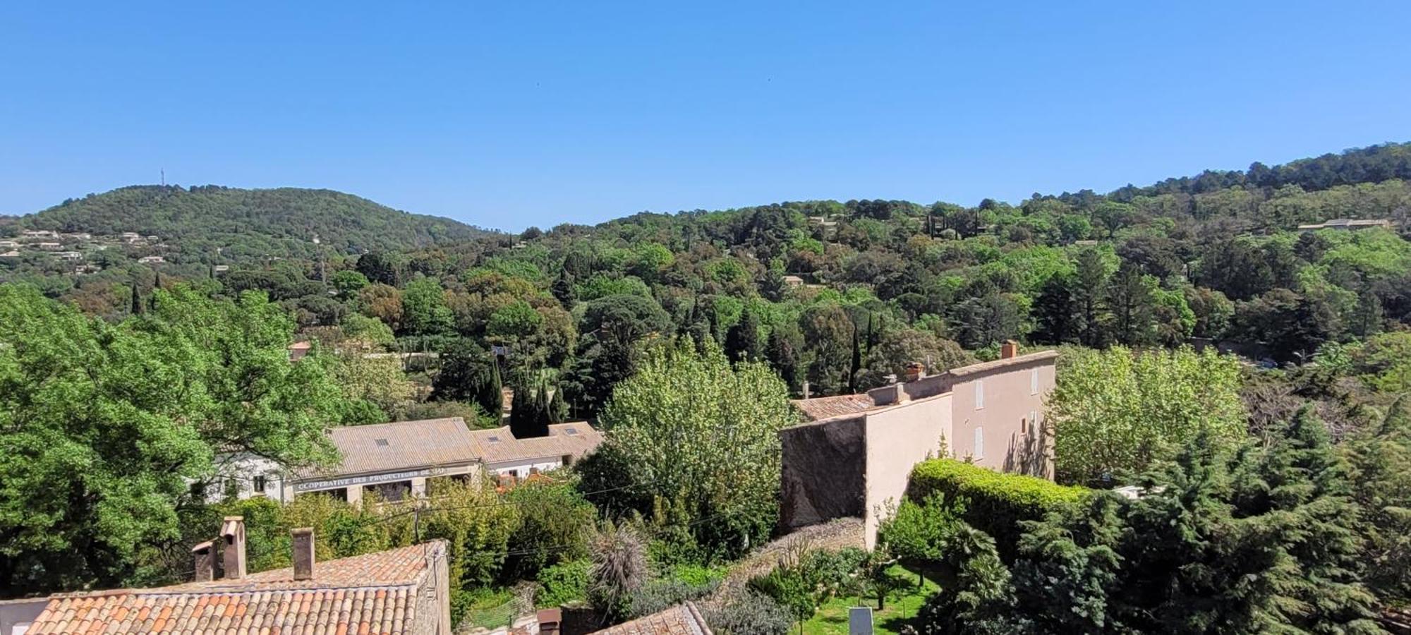 La Sarrazine - Suites - La Garde Freinet, Var La Garde-Freinet Exterior photo